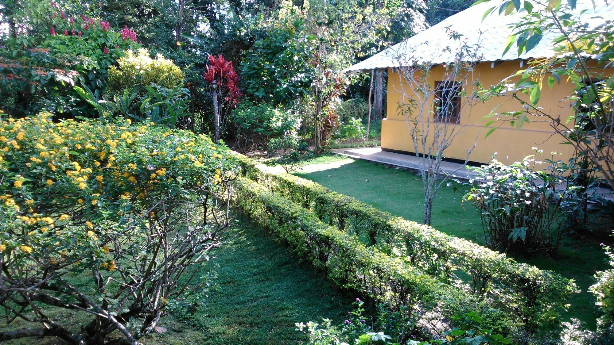 Sunnyside Holiday Bungalow Procida Dış mekan fotoğraf